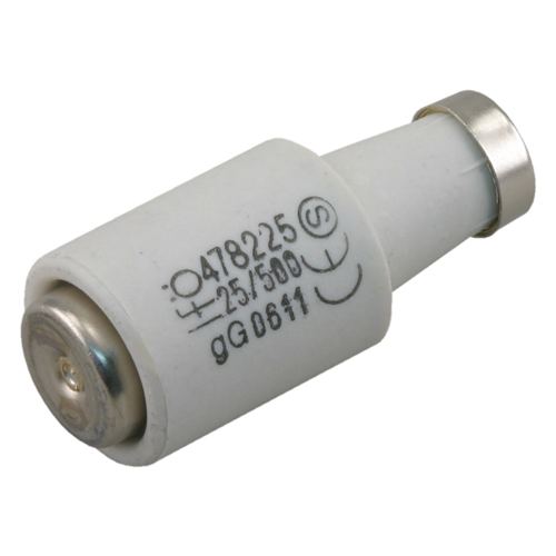 Zekering Traag - 2312407 25A SET à 5 STUKS