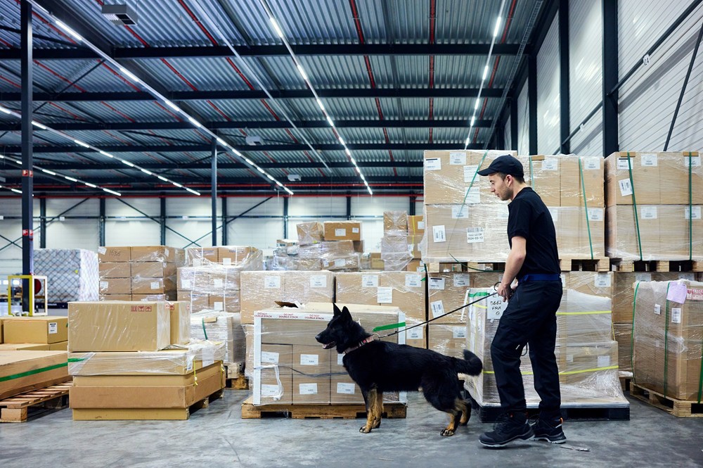 veiligheidsschoenen emma-17