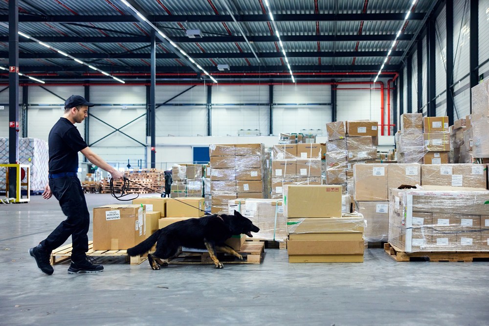 veiligheidsschoenen emma-15