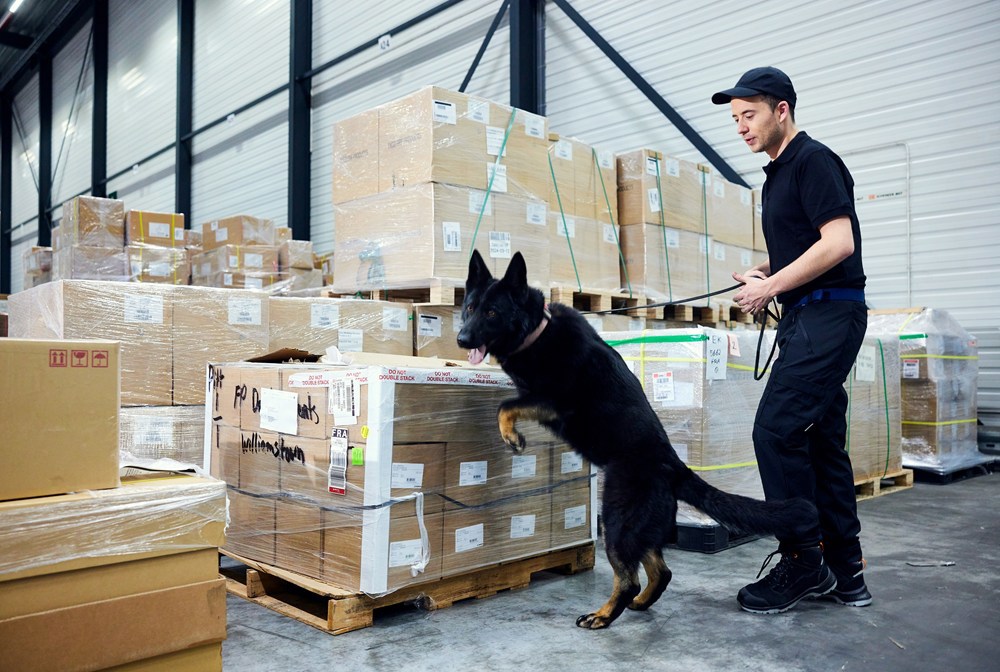 veiligheidsschoenen emma-18