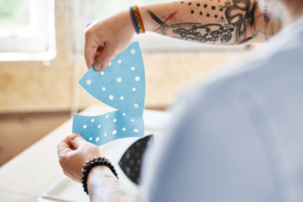 accu vlakschuurmachine festool-7