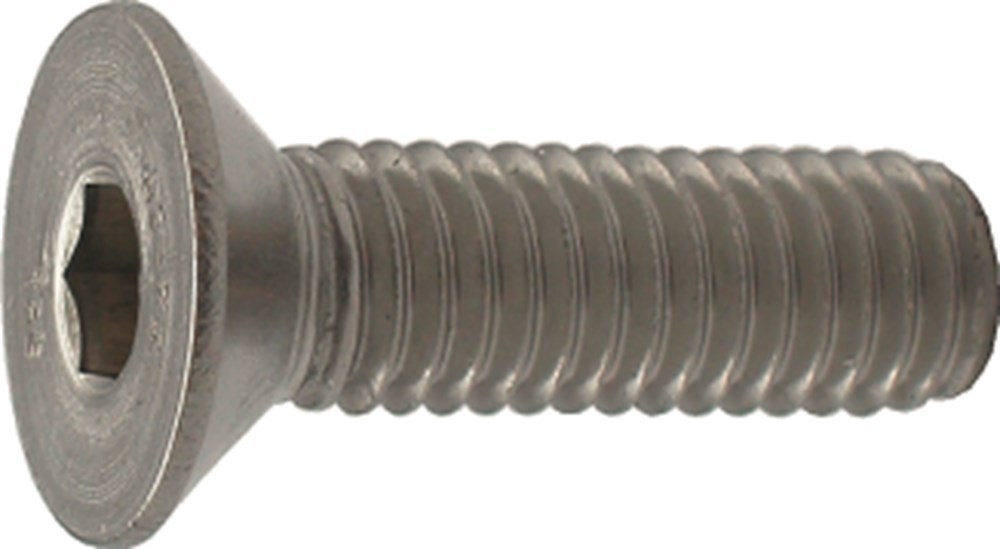 inbusbout rvs a2 kelfort