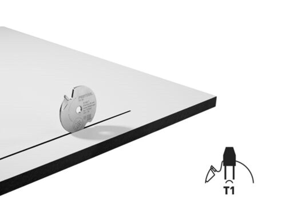 voorritser festool-3